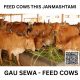 GAU SEWA "Spread Joy Donate Green Grass for Gau Seva this Janmashtami in Vrindavan"