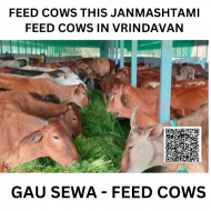 GAU SEWA "Spread Joy Donate Green Grass for Gau Seva this Janmashtami in Vrindavan"